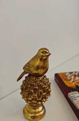 Уютная студия в Иннополисе